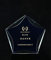 Best Cooperation Award